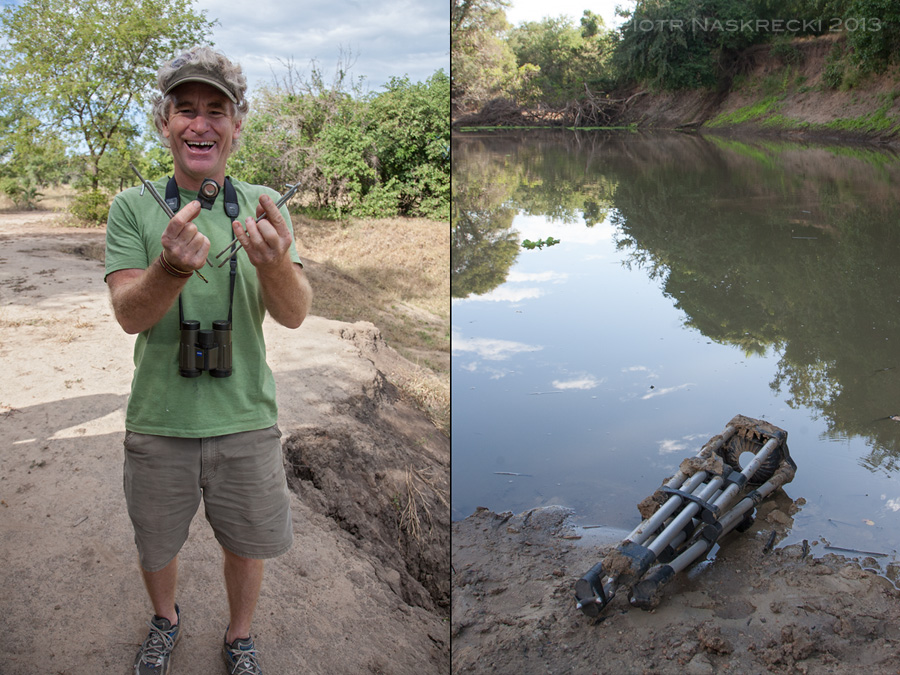 Bob Poole holding all that remains of his hide, and his tripod dragged into the river by a crocodile.