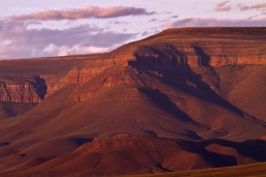 The Martian landscapes of the Northern Cape of South Africa, despite its foreboding appearance and extremely harsh conditions, is home to a number of very interesting orthopteroid insects.