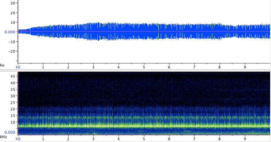 Sonogram of the Handsome trig (Phyllopalpus pulchellus); click here to listen to the recording.