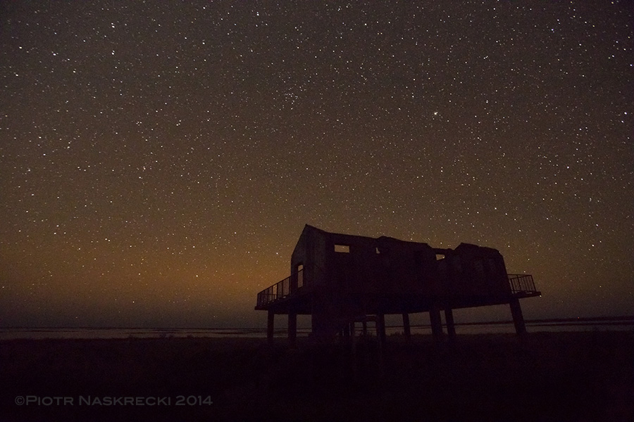 The skeletal remains of the Hippo House, once a busy restaurant and observation point.  Orb weaver (Nephilengys cruentata) from the Hippo House.