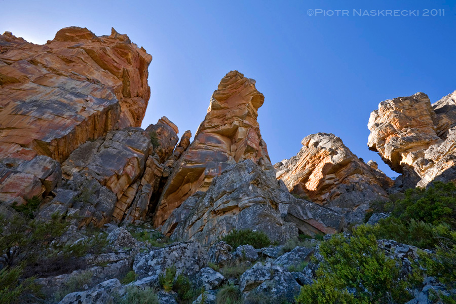 Sandstone spires above Wolfberg Cracks, one of the few caves where cave katydids can be found.